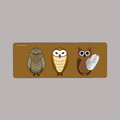 Owl Desk Mat